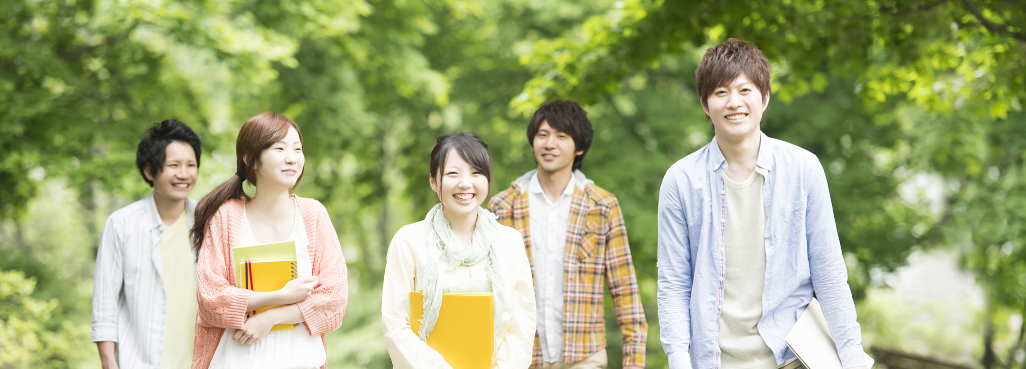 複数の男女学生が街路樹を散歩する写真