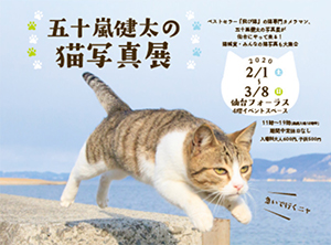 五十嵐健太の猫写真展の画像