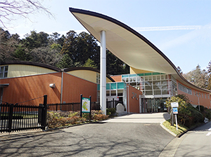 東北大学植物園の写真