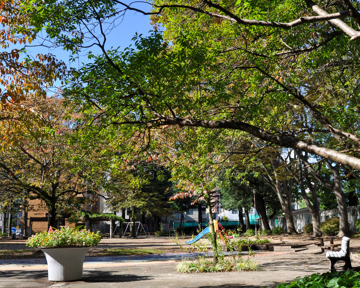 北三番町公園の写真